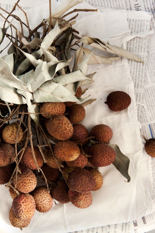 Things That are Rough